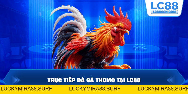 LC88 | LC88.COM ✔️ Trang Chủ Uy Tín ✔️ Link Không Chặn 2026